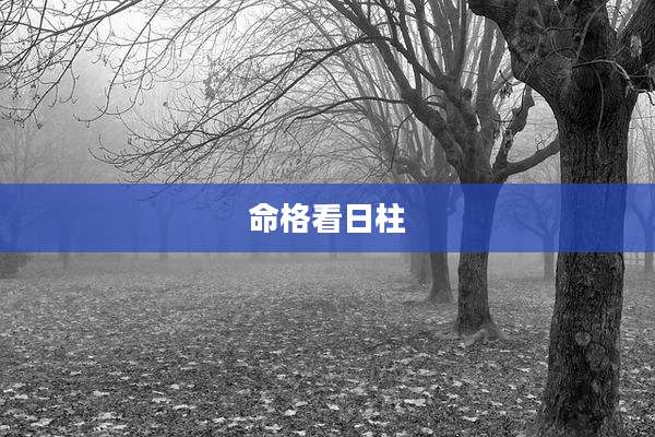命格看日柱