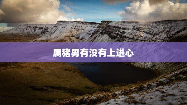 属猪男有没有上进心
