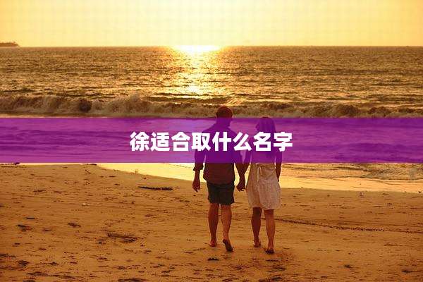 徐适合取什么名字