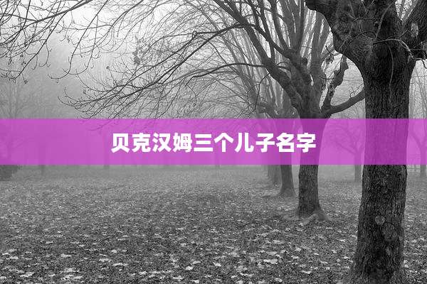 贝克汉姆三个儿子名字
