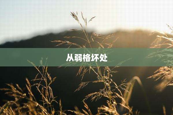 从弱格坏处