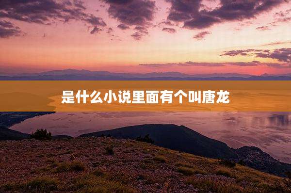 是什么小说里面有个叫唐龙