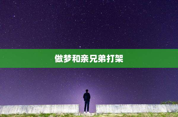 做梦和亲兄弟打架