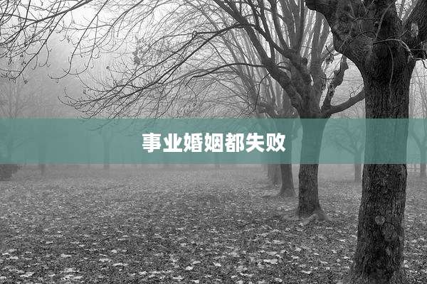 事业婚姻都失败