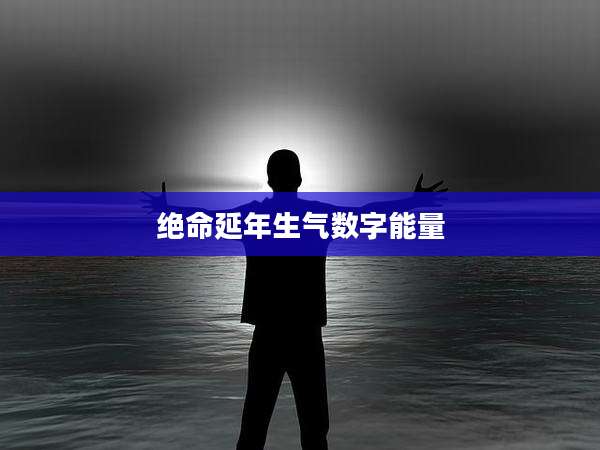 绝命延年生气数字能量