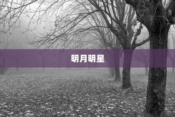 明月明星