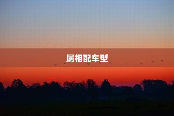 属相配车型