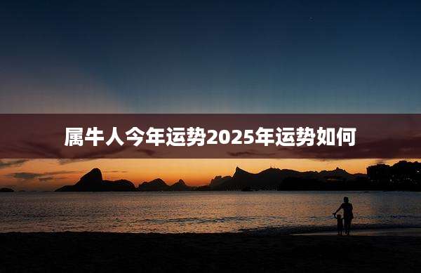 属牛人今年运势2025年运势如何