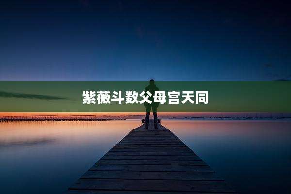 紫薇斗数父母宫天同