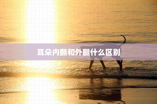 耳朵内翻和外翻什么区别