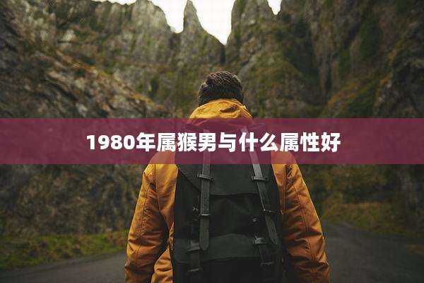 1980年属猴男与什么属性好
