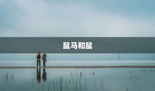 鼠马和鼠