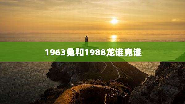 1963兔和1988龙谁克谁