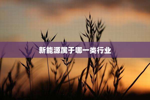 新能源属于哪一类行业