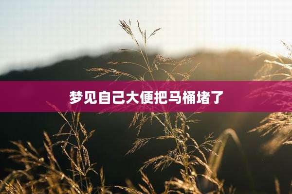 梦见自己大便把马桶堵了