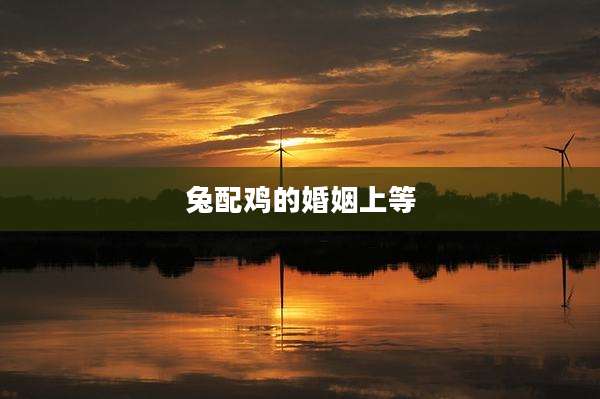 兔配鸡的婚姻上等