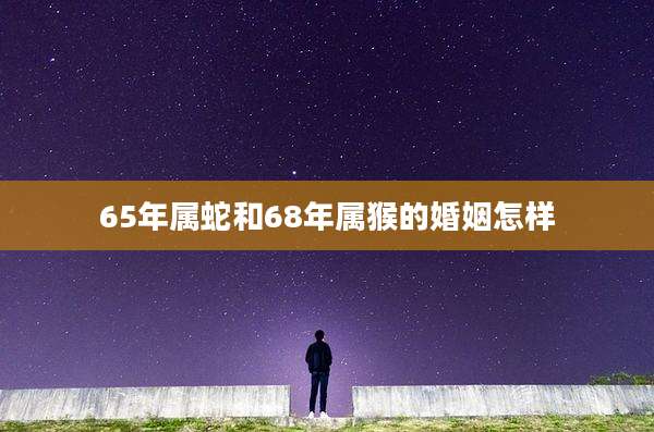 65年属蛇和68年属猴的婚姻怎样