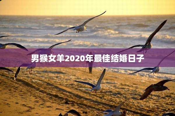 男猴女羊2020年最佳结婚日子