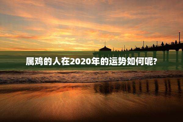 属鸡的人在2020年的运势如何呢?