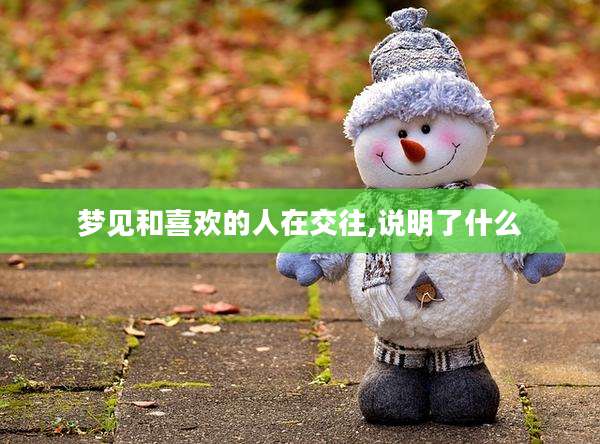 梦见和喜欢的人在交往,说明了什么
