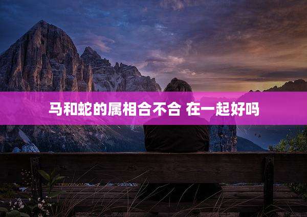 马和蛇的属相合不合 在一起好吗