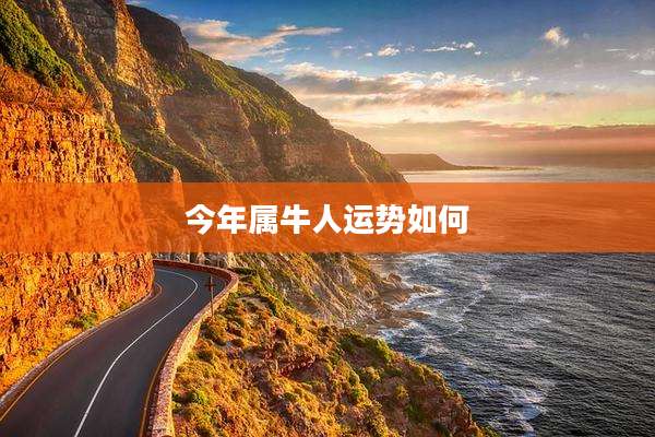 今年属牛人运势如何