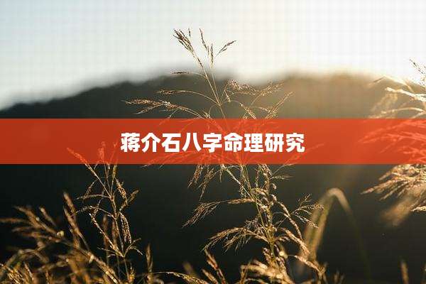 ***八字命理研究