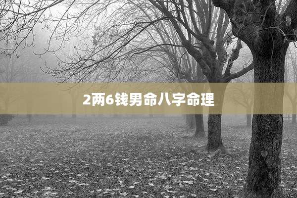 2两6钱男命八字命理
