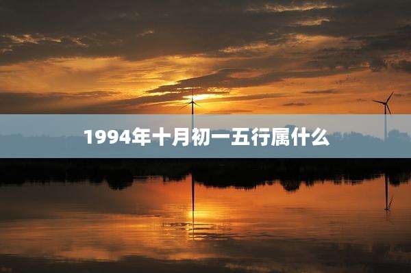1994年十月初一五行属什么