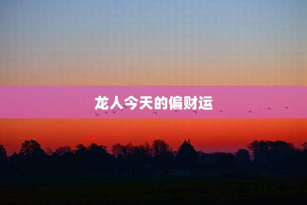 龙人今天的偏财运