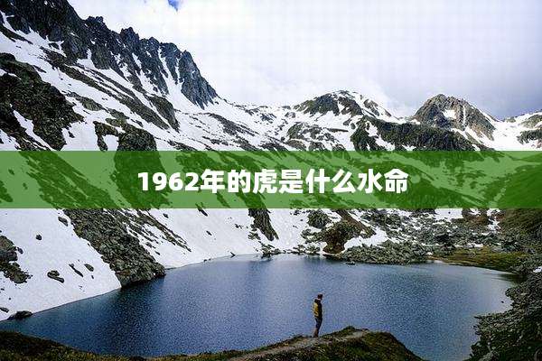 1962年的虎是什么水命