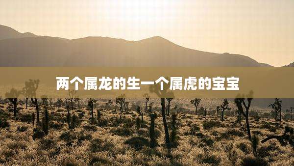 两个属龙的生一个属虎的宝宝