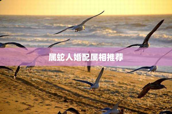 属蛇人婚配属相推荐