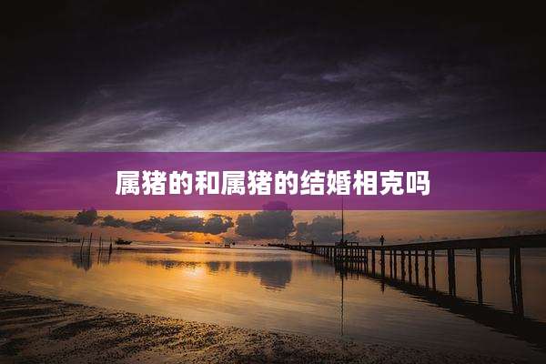 属猪的和属猪的结婚相克吗