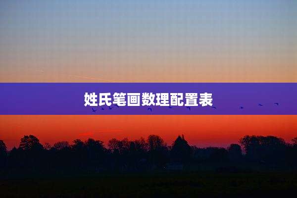 姓氏笔画数理配置表