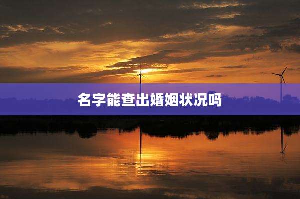 名字能查出婚姻状况吗