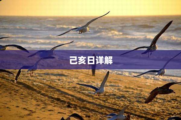 己亥日详解