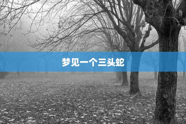 梦见一个三头蛇