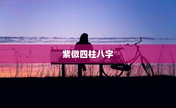 紫微四柱八字