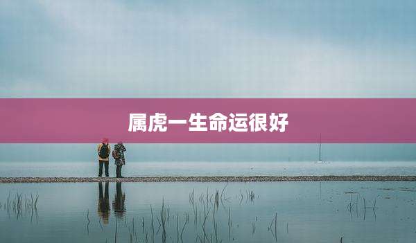 属虎一生命运很好