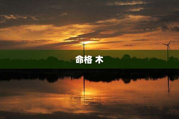 命格 木