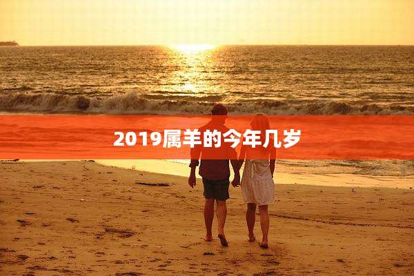 2019属羊的今年几岁