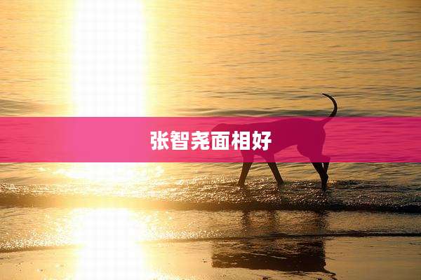 张智尧面相好