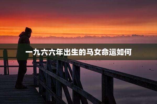 一九六六年出生的马女命运如何