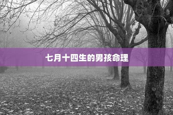七月十四生的男孩命理
