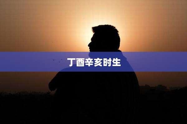丁酉辛亥时生