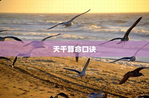 天干算命口诀