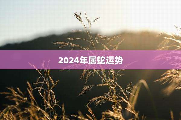 2024年属蛇运势