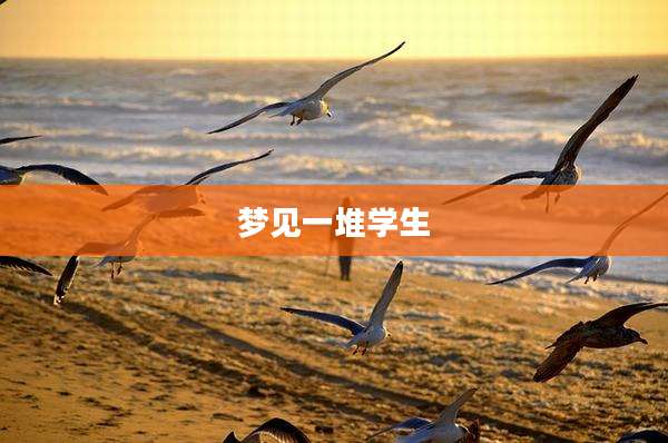 梦见一堆学生