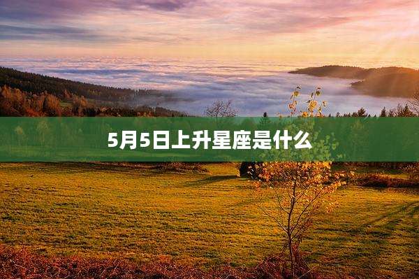 5月5日上升星座是什么